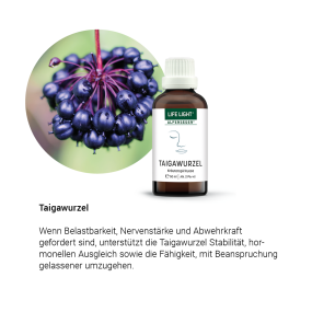 Alpensegen Taigawurzel (50 ml)