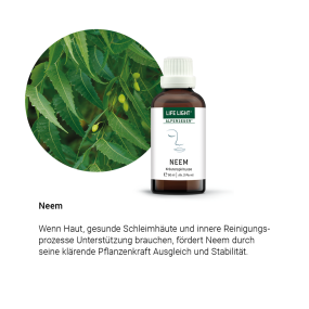 Neem Kräuteressenz (50 ml)