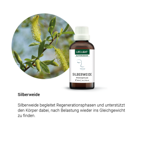 Alpensegen Silberweide (50 ml)