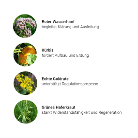 Helden Kräuterkomplex (50 ml)