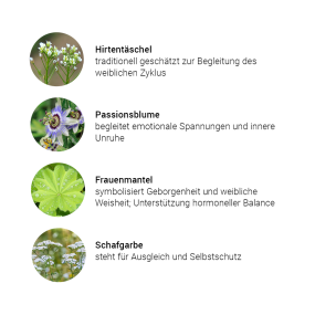 Amazonen Kräuterkomplex (50 ml)