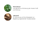Amazonen Kräuterkomplex (50 ml)