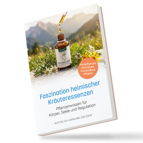 Faszination heimischer Kräuteressenzen (Buch)