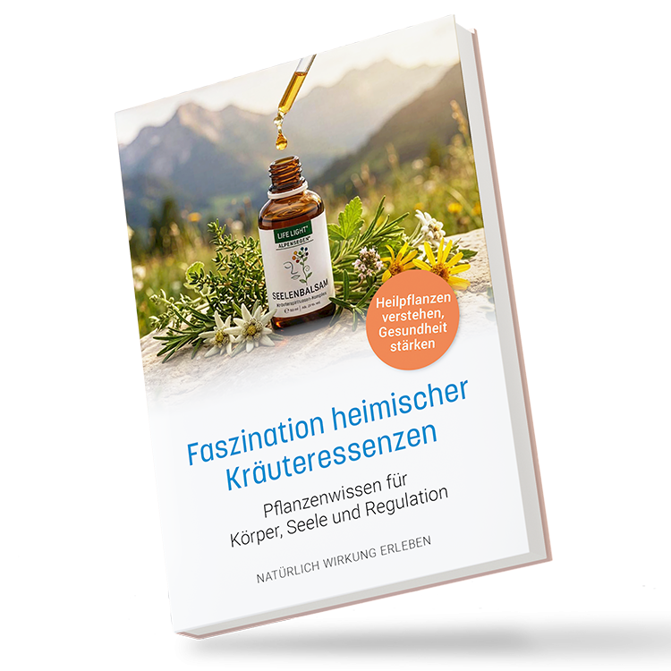 Faszination heimischer Kräuteressenzen (Buch)