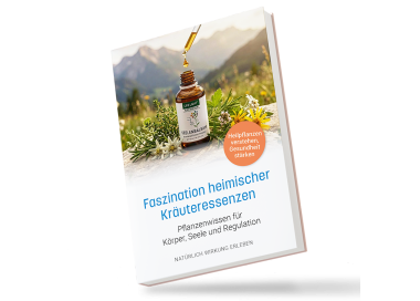 Faszination heimischer Kräuteressenzen (Buch)