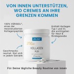 Kollagen pur - Unterstützung von innen