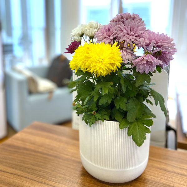 LIFE LIGHT® Büro Grödig