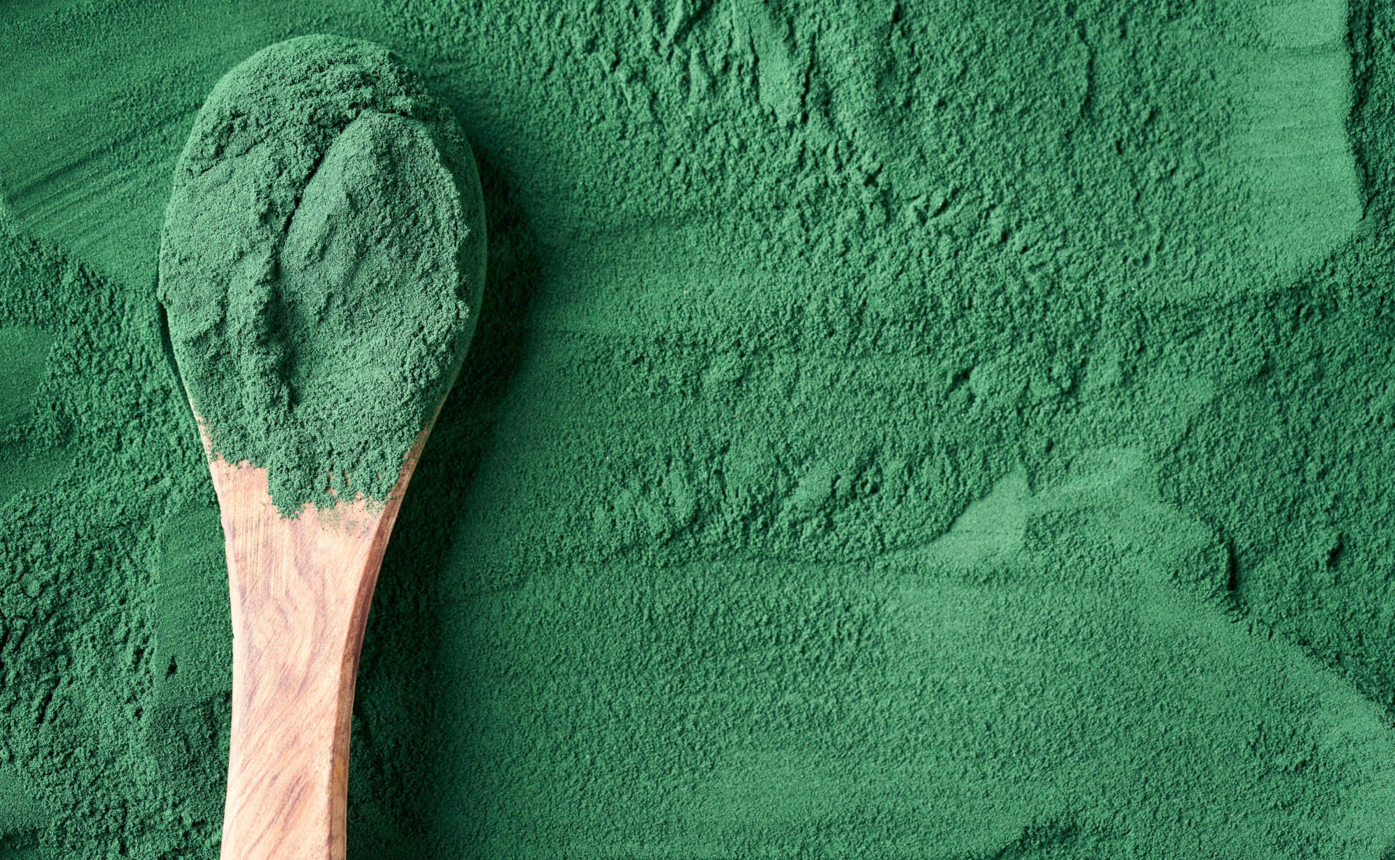 Ein Holzschöpflöffel mit grünem Pulver, das Chlorella- oder Spirulina-Pulver sein könnte, liegt auf einem Hintergrund aus demselben Pulver. Die Textur des Pulvers ist fein und gleichmäßig.