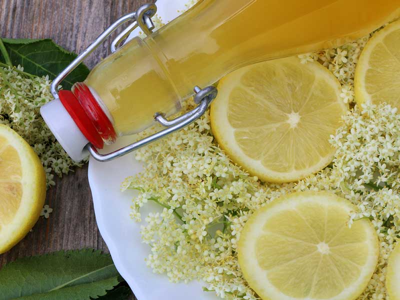 Holundersirup für ein gesundes Immunsystem Eine Flasche Holunderblütensirup liegt auf einem weißen Teller, umgeben von frischen Holunderblüten und Zitronenscheiben.