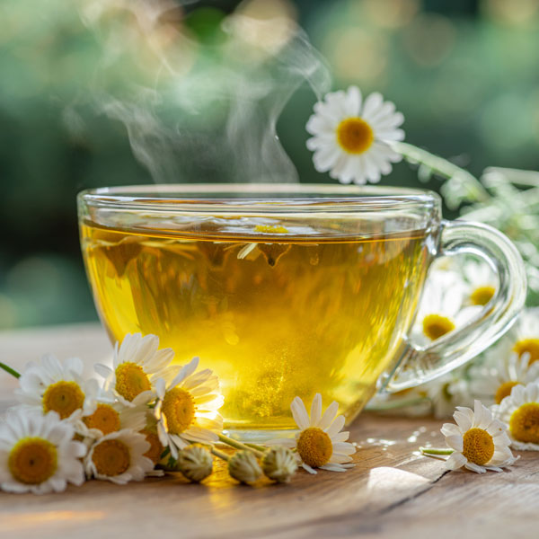 Eine glasklare Tasse dampfender Kamillentee steht auf einem Holztisch im Freien, umgeben von frischen Kamillenblüten.