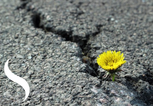 Chronischer Stress & Cortisol: Wege zu Mental Relief und mehr Resilienz