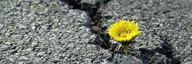 Chronischer Stress & Cortisol: Wege zu Mental Relief und mehr Resilienz