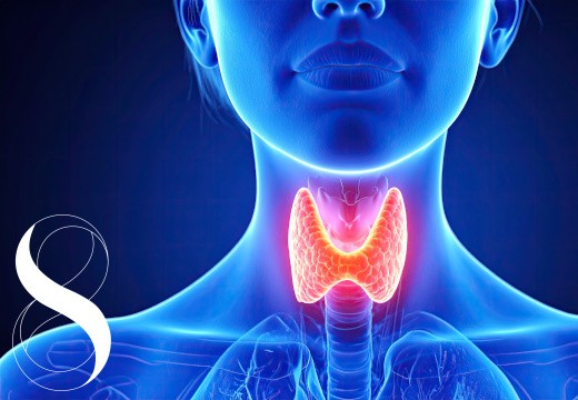 Schilddrüse in Balance: Jod, Mikronährstoffe und ganzheitliche Gesundheit